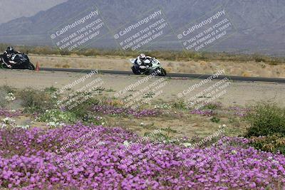 media/Feb-04-2023-SoCal Trackdays (Sat) [[8a776bf2c3]]/Turn 15 Inside Blooming (1050am)/